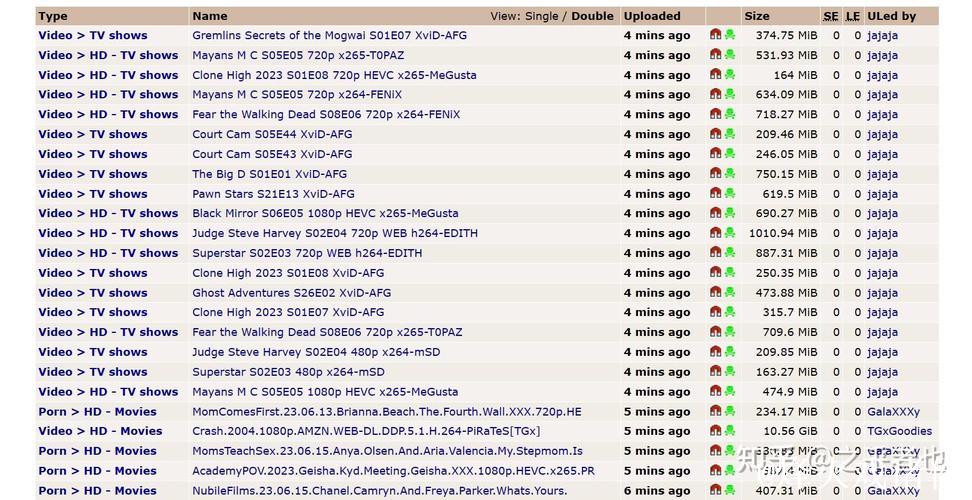 BT蜘蛛磁力搜索引擎资源汇总平台